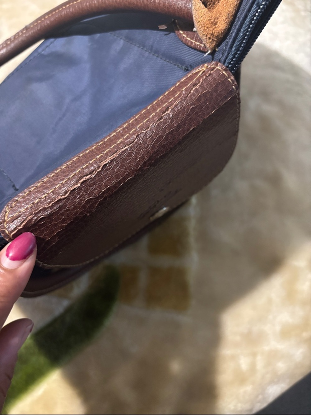 Longchamp Limitee Edition Embroidered Tote Bag - Picture 12 of 12